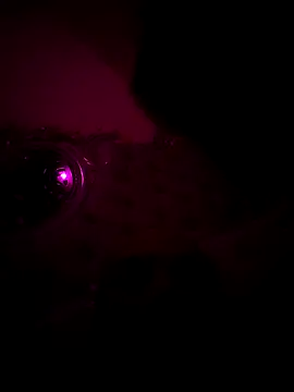 Raj teluguboy online show from 6, 3, 2026