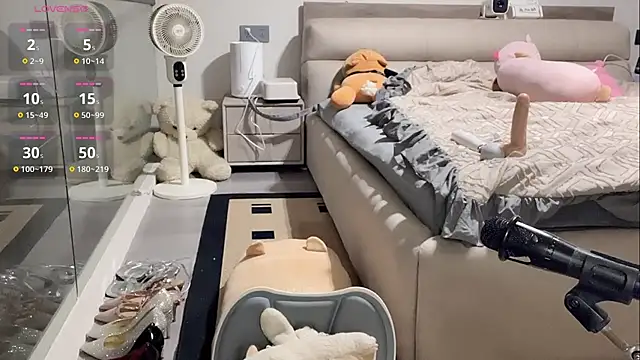 yyds-8 online show from 12, 2, 2026