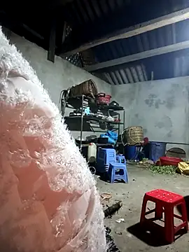 baby 112233 online show from 30, 3, 2026