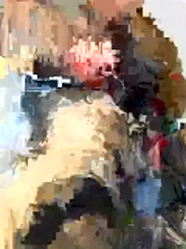 Snapshot of naatis chatting on 3, 2, 2026 naatis online show from 3, 2, 2026