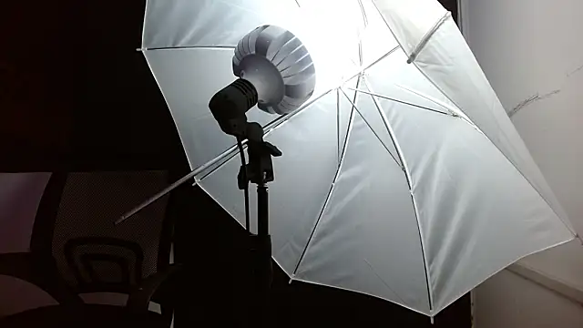 Miss Merrie online show from 1, 3, 2026