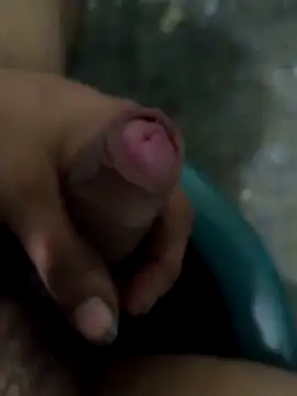 Snapshot of tortolito201 chatting on 11, 2, 2026 tortolito201 online show from 11, 2, 2026