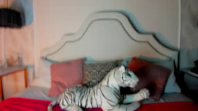 Snapshot of niicole_garner chatting on 11, 2, 2026 niicole garner online show from 11, 2, 2026