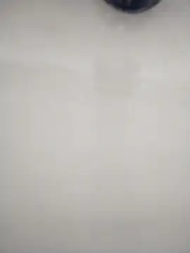 macariocb online show from 8, 2, 2026