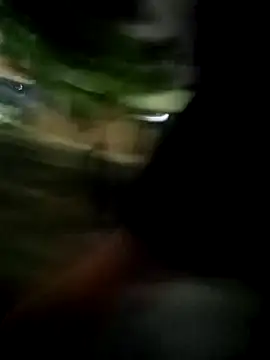 galgo99 online show from 11, 4, 2026