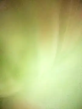 BIG QWEEN NO1 online show from 20, 2, 2026