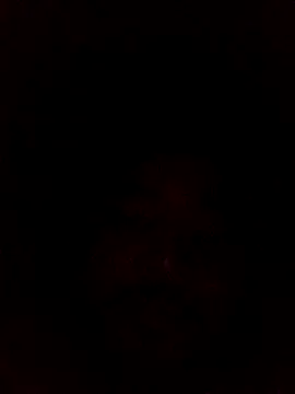 Frederico3302 online show from 2, 3, 2026