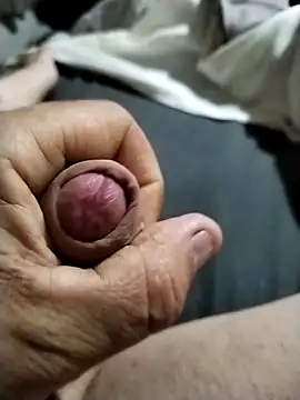 bigboydongi online show from 11, 4, 2026