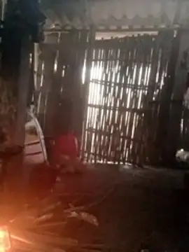 Nhoccon90 online show from 17, 3, 2026