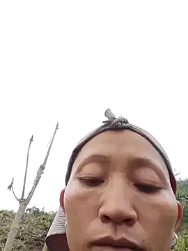 Linka998 online show from 28, 3, 2026