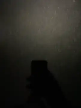 stallone italiano 62 online show from 11, 2, 2026