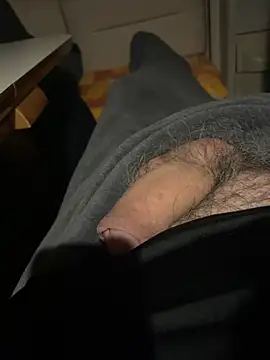 stallone italiano 62 online show from 29, 3, 2026