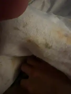 sbollando13 online show from 8, 2, 2026