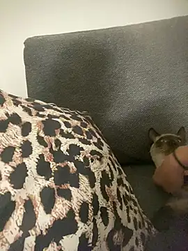 little dreamer  online show from 9, 3, 2026