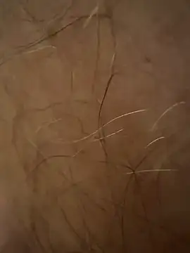 benoitxxx online show from 12, 3, 2026