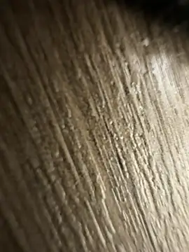 brayangz  online show from 8, 4, 2026