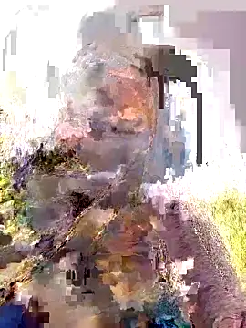 Snapshot of Pallavi_hote chatting on 22, 2, 2026 Pallavi hote online show from 22, 2, 2026