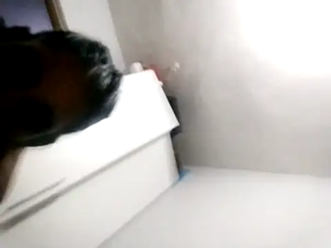 Baby P online show from 18, 3, 2026