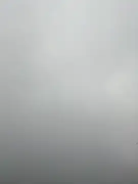 nelina 12345 online show from 16, 4, 2026