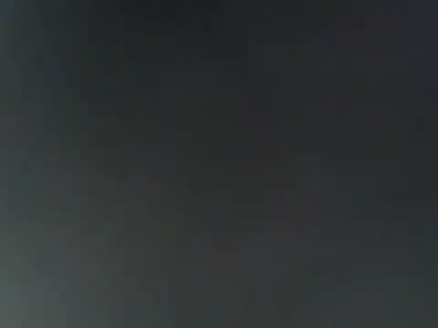 dustbunny64 online show from 8, 8, 2026