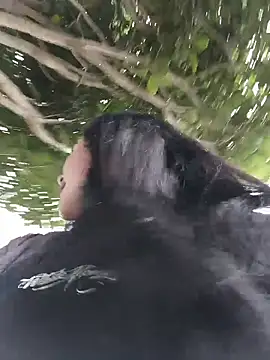 Freckless  online show from 23, 3, 2026