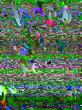 Sukem-mut online show from 6, 4, 2026