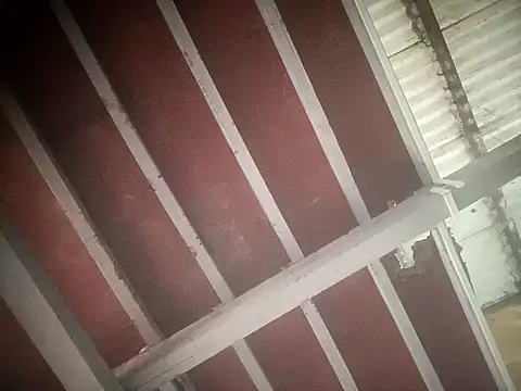 sex baby26 online show from 21, 2, 2026