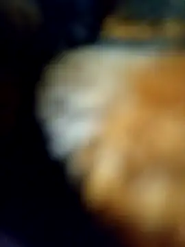 Avinh 09 online show from 15, 2, 2026