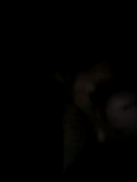 Egypt1000 online show from 27, 3, 2026