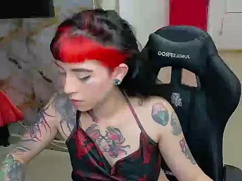 nova kitttyy online show from 20, 2, 2026