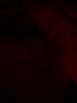 Snapshot of shark822 chatting on 26, 2, 2026 shark822 online show from 26, 2, 2026