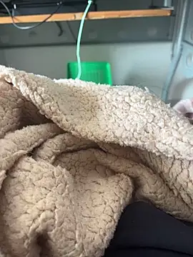 D4n13l47 online show from 4, 3, 2026