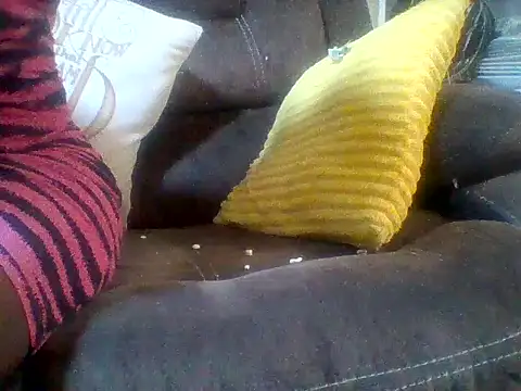 zee66658 online show from 31, 3, 2026