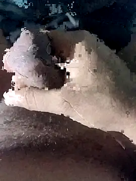 taherDzzf online show from 23, 3, 2026