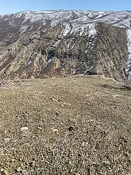 TurkeyMen online show from 3, 3, 2026