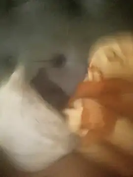 InferredPloce online show from 23, 4, 2026