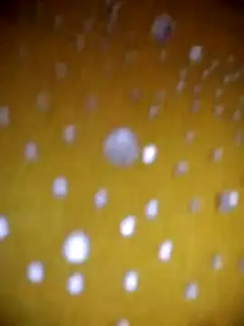 Snapshot of Vycute9900 chatting on 1, 3, 2026 Vycute9900 online show from 1, 3, 2026