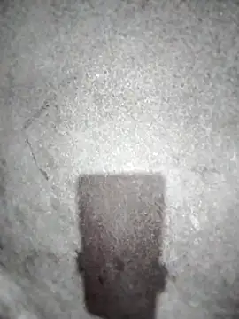 ngocbao11 online show from 10, 3, 2026