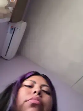 perritarebeldee online show from 11, 3, 2026