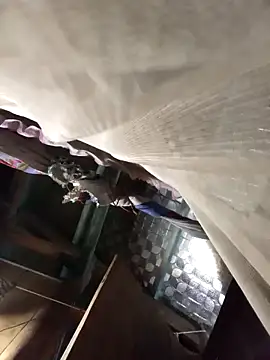 Snapshot of Big-all012 chatting on 23, 2, 2026 Big-all012 online show from 23, 2, 2026