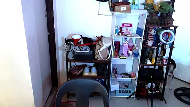 sweetasian zoe online show from 17, 4, 2026