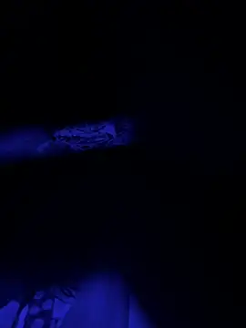 chavad-345 online show from 9, 5, 2026