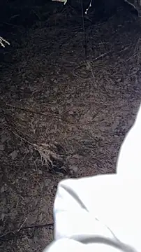 salfetka sex online show from 23, 3, 2026