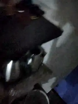 magicmovemen online show from 3, 3, 2026