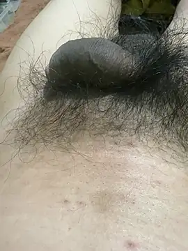 bimat1111 online show from 2, 3, 2026