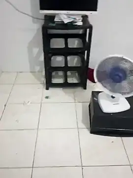 xxxputinhaxxxx online show from 26, 2, 2026