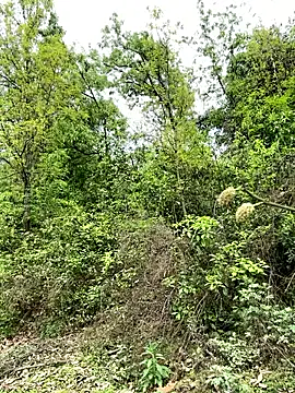 yin202601 online show from 26, 3, 2026