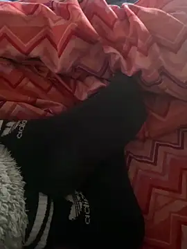 DAPHNE  00 online show from 7, 3, 2026