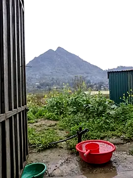 phay79 online show from 10, 3, 2026