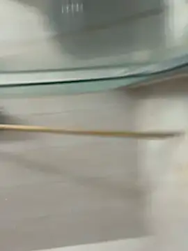 David-latinlover online show from 29, 3, 2026